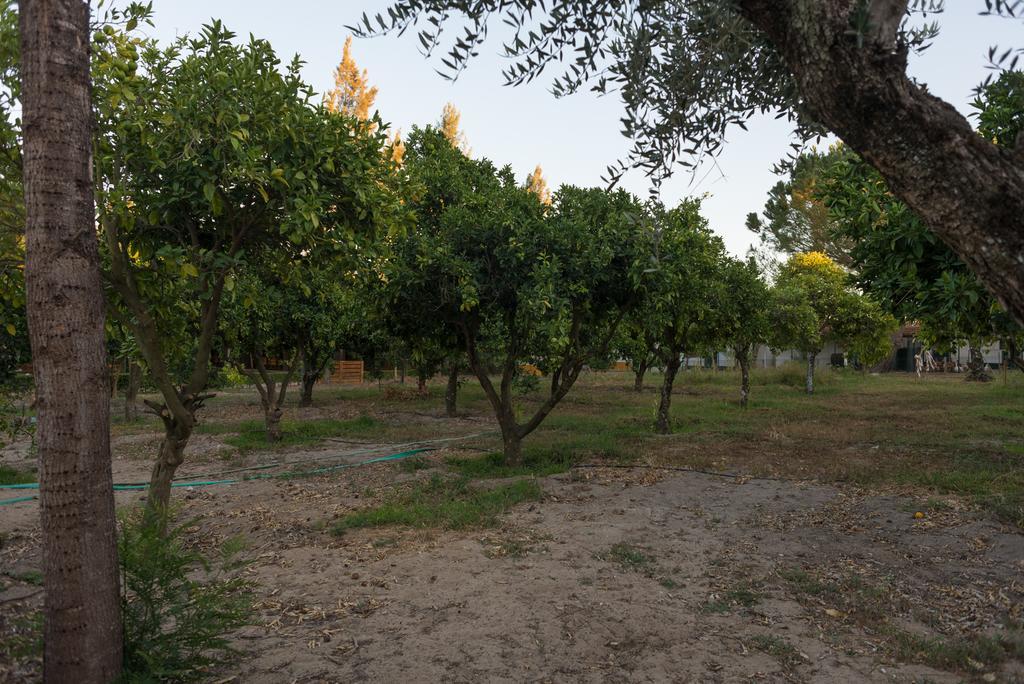 Quinta Da Mimosa Hotel Fajarda Buitenkant foto